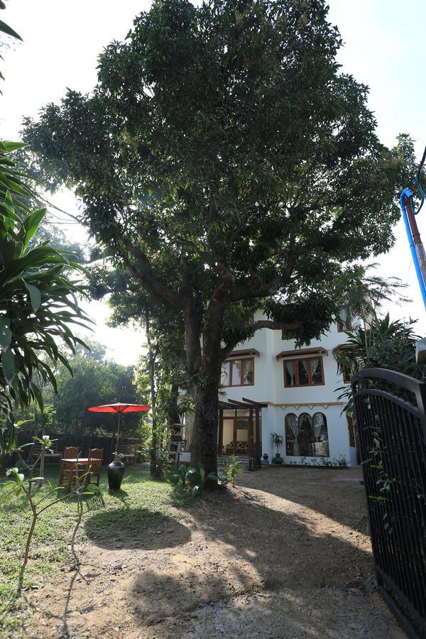 Mango Hill Inn Yangón Exterior foto